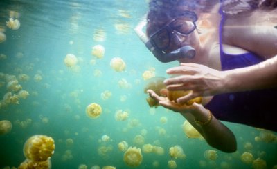 Palau   Kathy In Jelly Fish Lake